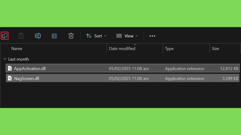 Movavi Screen Recorder Crackeado Copy DLL
