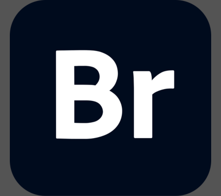 Download Adobe Bridge 2024 Crackeado Torrent Gratis PT-BR