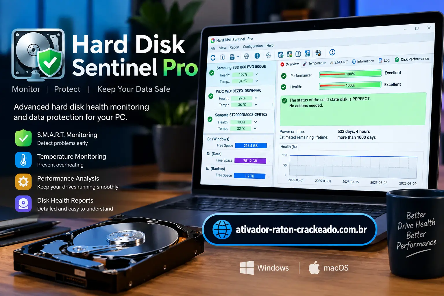 Hard Disk Sentinel Download